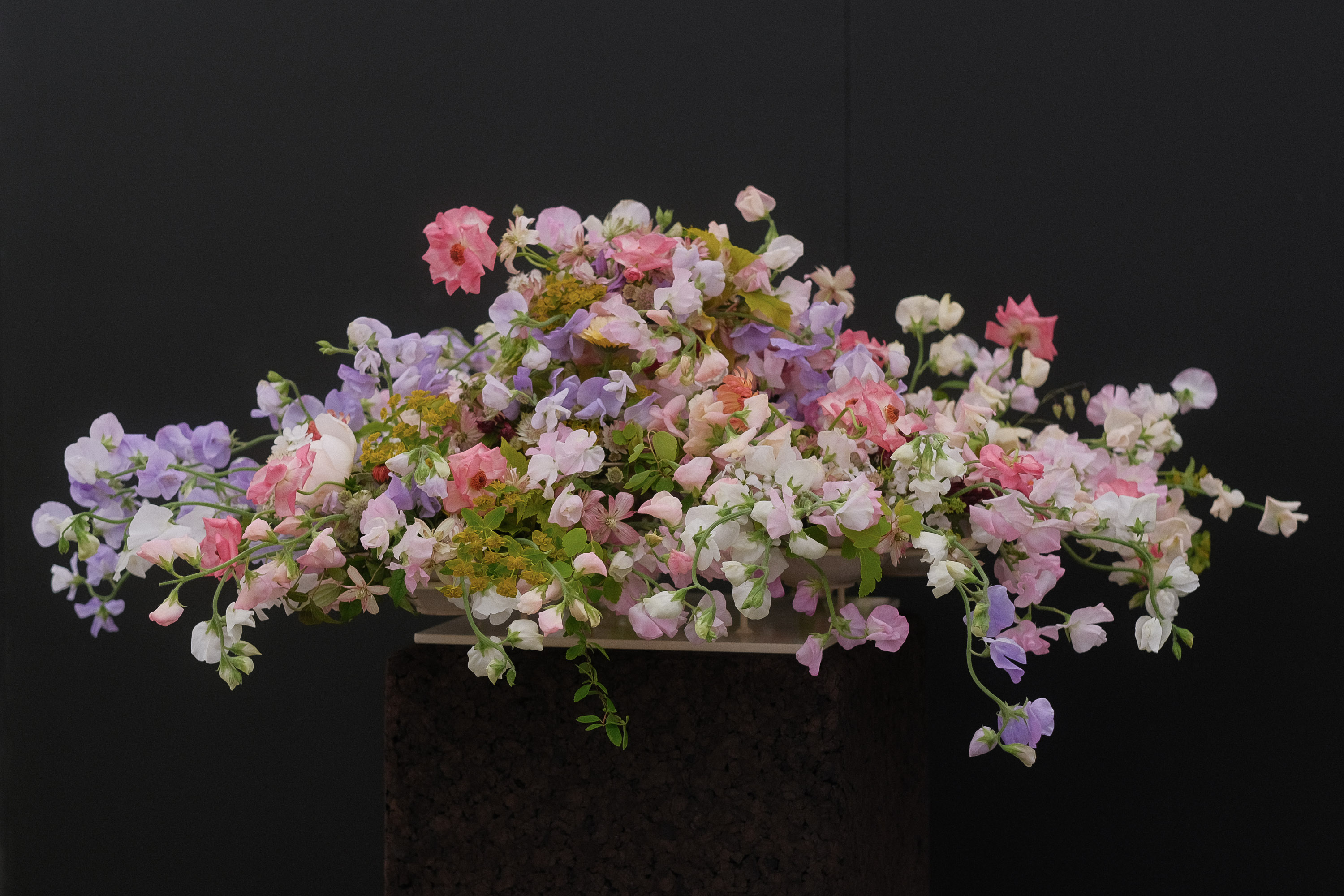 RHS Chelsea Flower Show 2024 Elder and Wild Exhibit