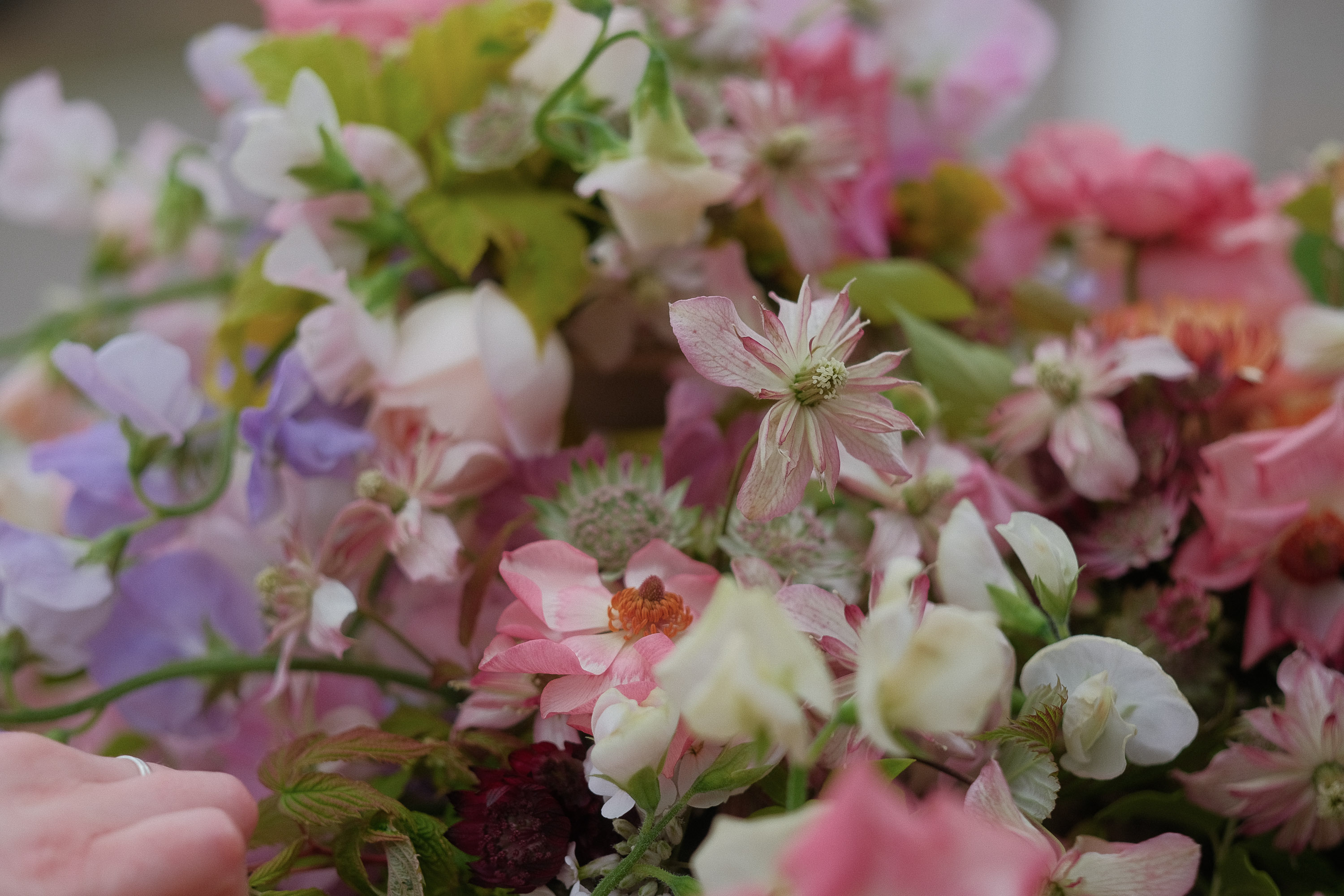 RHS Chelsea Flower Show 2024 Elder and Wild Exhibit