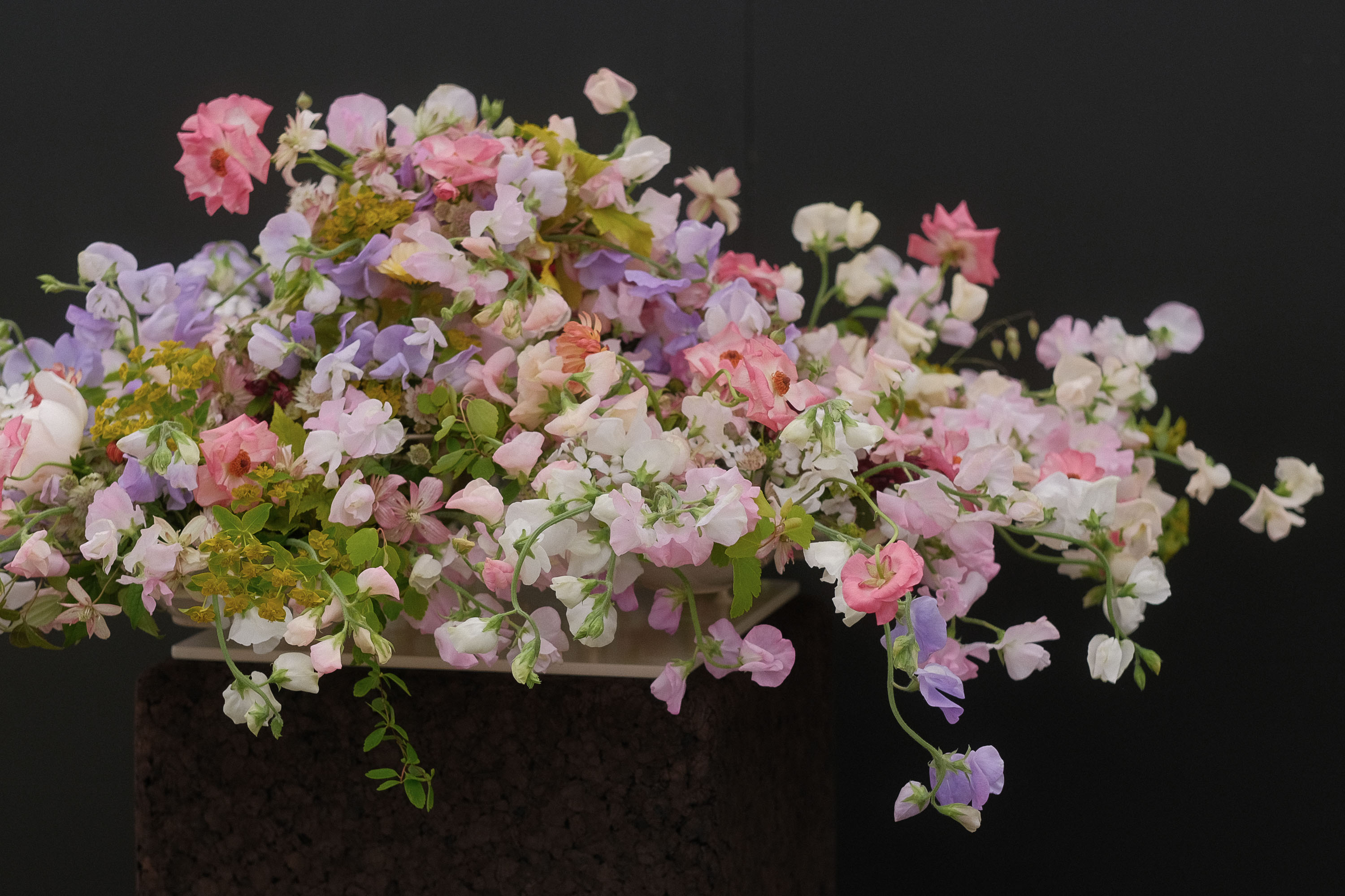 RHS Chelsea Flower Show 2024 Elder and Wild Exhibit