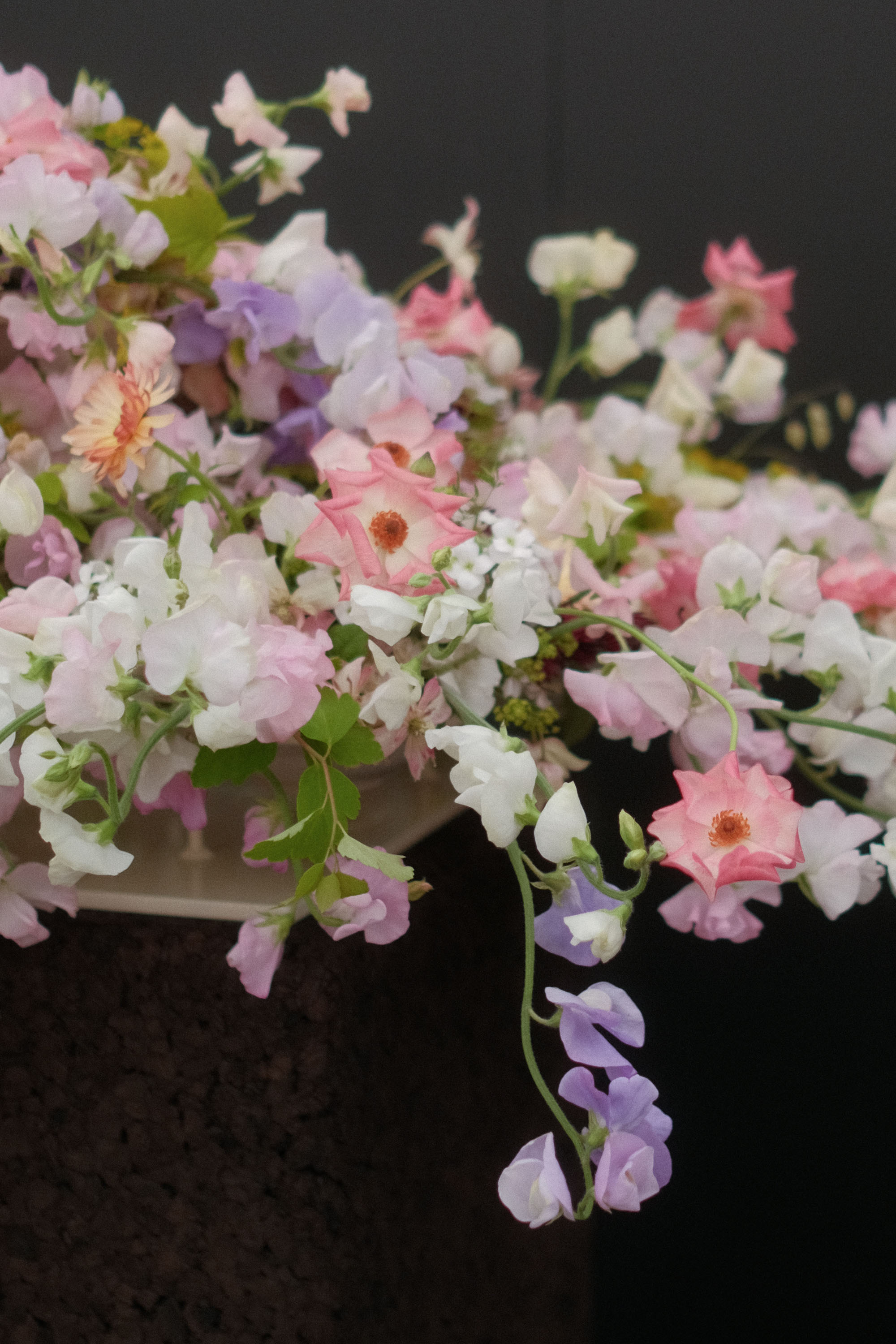 RHS Chelsea Flower Show 2024 Elder and Wild Exhibit